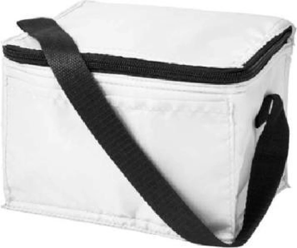 Koeltas - Mini Koeltas - Geschikt Voor 6 Blikjes - Compact Koeltas + 2 Koelelementen - Rheme 6 Koeltas - Mini Koeltas - Geschikt Voor 6 Blikjes - Compact Koeltas + 2 Koelelementen - Rheme - Afbeelding 4