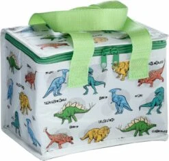 Kleine Lunch/sixpack Koeltas - Dinosaurus Print - 21 X 16 Cm - 4,7 L 16 Kleine Lunch/sixpack Koeltas - Dinosaurus Print - 21 X 16 Cm - 4,7 L -Outdoor Camping Winkel 1200x1140 1