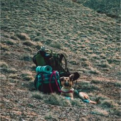 LOWLAND OUTDOOR® Donzen Slaapzak - Super Compact Blanket - 210 X 80 Cm - 590gr +8°C -Outdoor Camping Winkel 1200x1196 9