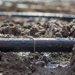 Relaxdays 100x Gronddoekpen - Grondanker - Haring - Gronddoekhaak - Grondhaken - 2mm -Outdoor Camping Winkel 1200x1200 848