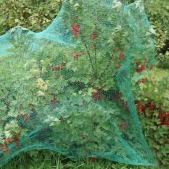 Relaxdays 100x Gronddoekpen - Grondanker - Haring - Gronddoekhaak - Grondhaken - 2mm -Outdoor Camping Winkel 1200x1200 849