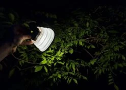 Solar Led Camping Lamp - Tent Verlichting Oplaadbaar - Solar Lantaarn Tafellamp Opvouwbare Campinglamp - King Mungo -Outdoor Camping Winkel 1200x856 2