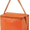 Merkloos Klein Mini Koeltasje - Sixpack Blikjes - Compacte Koelbox/koeltassen En Elementen - Oranje -Outdoor Camping Winkel 873x1200 2